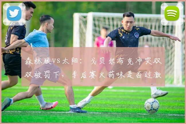 森林狼vs太阳:戈贝尔布克冲突双双被罚下,季后赛火药味是否过激?