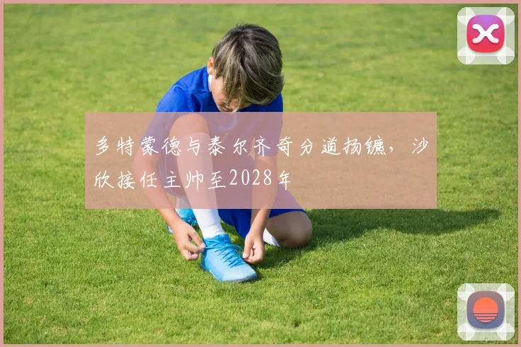 多特蒙德与泰尔齐奇分道扬镳，沙欣接任主帅至2028年