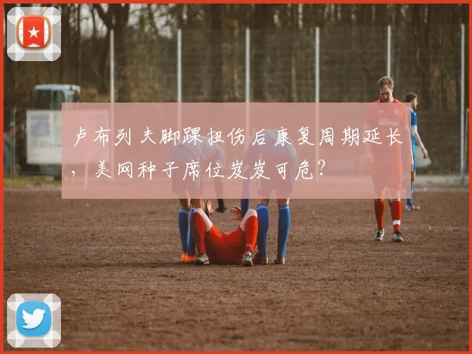 卢布列夫脚踝扭伤后康复周期延长,美网种子席位岌岌可危?